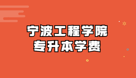 寧波工程學院專升本學費