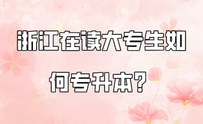 浙江在讀大專生如何專升本？