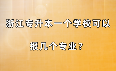 浙江專升本一個學?？梢詧髱讉€專業？.png