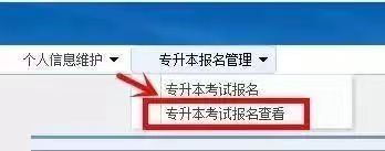 浙江專升本報名提交完信息后需要注意什么？